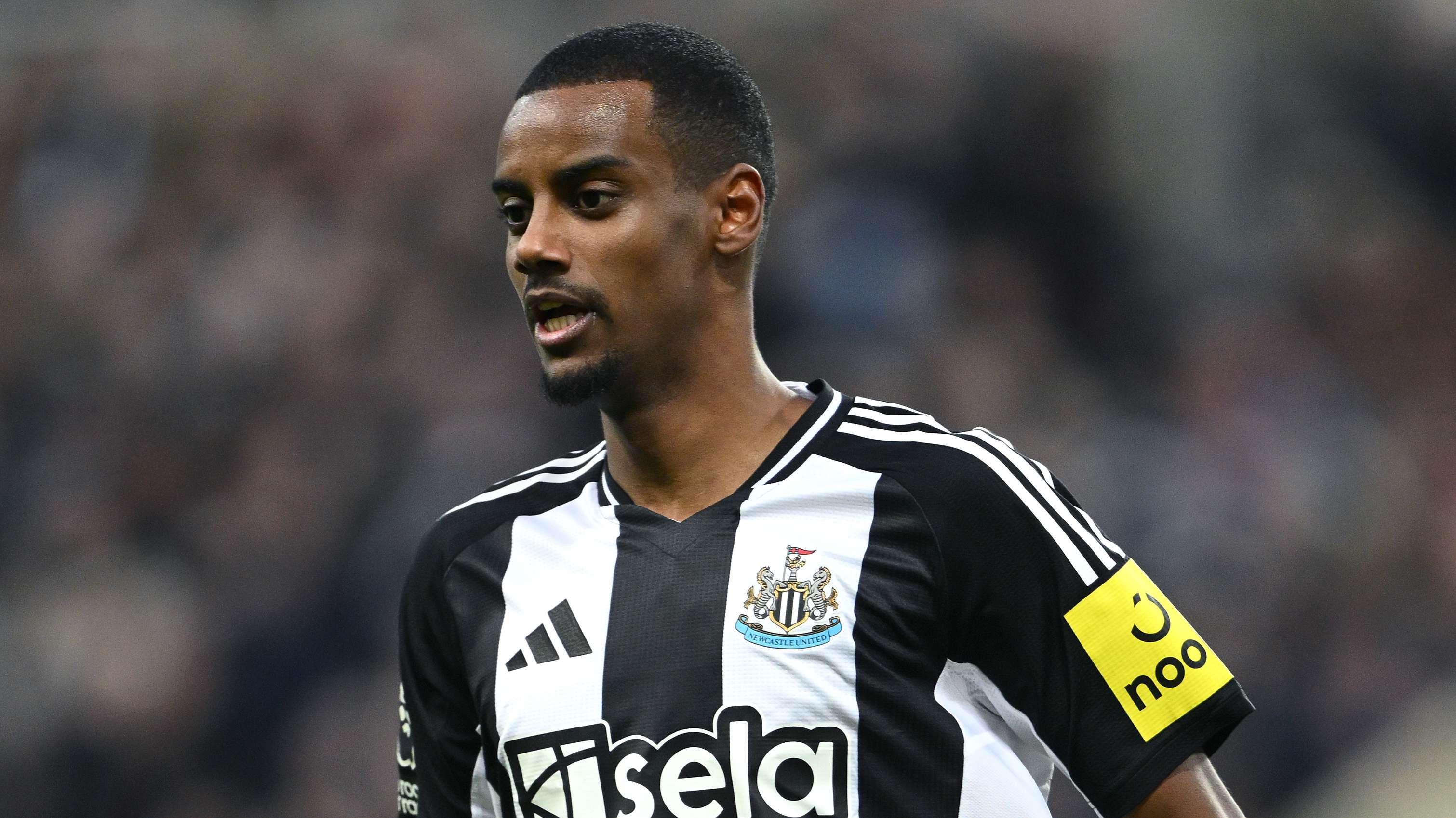 不仅增加了 不仅增加了